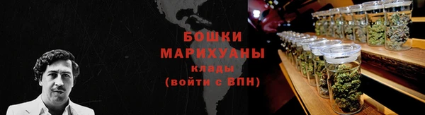 дживик Мегион