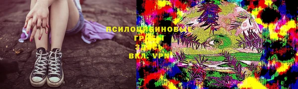 гашик Бежецк