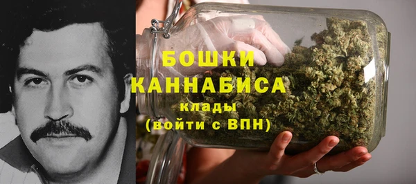 дживик Мегион