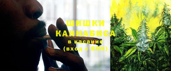 дживик Мегион